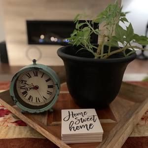 Meet your Posher, Goldstone